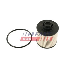 FAST Kraftstofffilter Filtereinsatz, mit Dichtring FT39306
