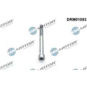 Spletna trgovina z DR.MOTOR AUTOMOTIVE Vijak, drzalo vbrizgalne sobe DRM01093