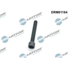Spletna trgovina z DR.MOTOR AUTOMOTIVE Vijak, drzalo vbrizgalne sobe DRM01164