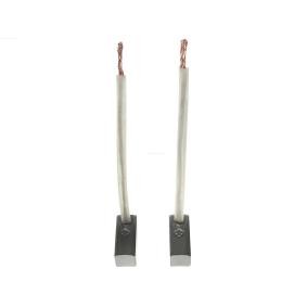 Spletna trgovina z AS-PL Oglene scetke, alternator AB9005P