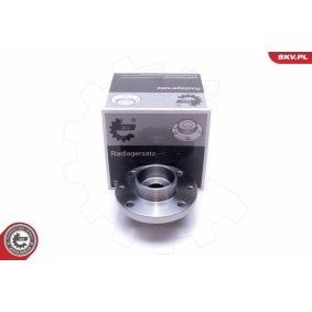 ESEN SKV Wiellagerset 29SKV524