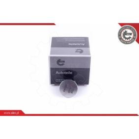 ESEN SKV Ignition switch 96SKV135