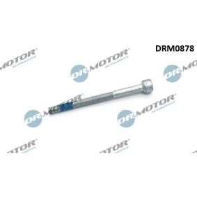 Spletna trgovina z DR.MOTOR AUTOMOTIVE Vijak, drzalo vbrizgalne sobe DRM0878