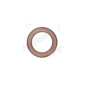 PAYEN Anillo obturador KG5117