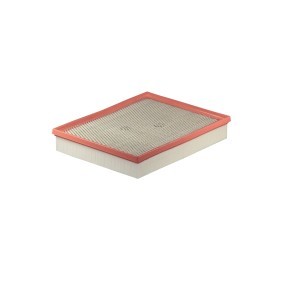 FILTRON Luftfilter AP 156/2