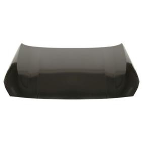 originalni BMW Z3 BLIC Pokrov motorja 6803-00-0073280P