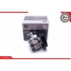 ESEN SKV Servopumpe 10SKV292