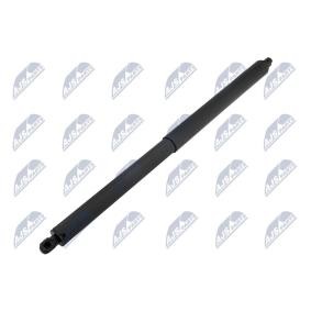 Купить NTY Газовая пружина, крышка багажник AE-FR-070