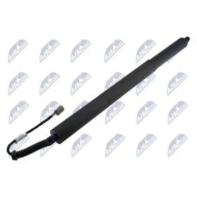 Купить NTY Газовая пружина, крышка багажник AE-FR-071