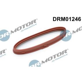 DR.MOTOR AUTOMOTIVE Tetningsring, lader DRM01246