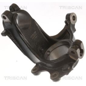 TRISCAN Fusée d'essieu, suspension de roue 8500 28704