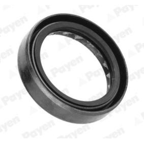 Spletna trgovina z PAYEN Radialna tesnilka za gred, rocni menjalnik NJ125