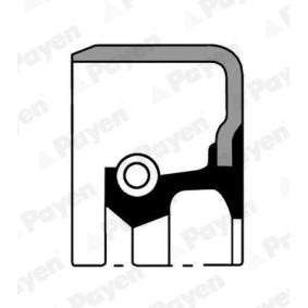PAYEN Shaft Seal, wheel hub NJ562