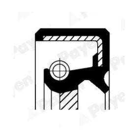 PAYEN Shaft Seal, manual transmission Inlet NJ617
