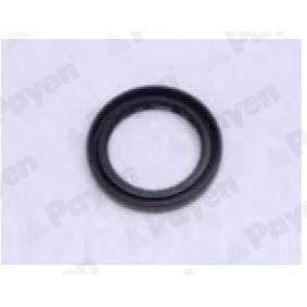 Купить PAYEN Уплотняющее кольцо, ступица колеса NJ743