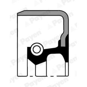 Купить PAYEN Уплотняющее кольцо, ступица колеса NK054