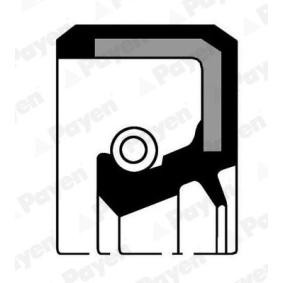 PAYEN Oljetätningsring, manuell transmission Ingång, 25mm NK137