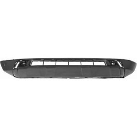 DIEDERICHS Spoiler 7480061