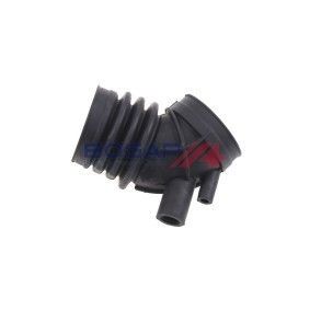 BOGAP Durite d'admission d'air 290mm B1710104