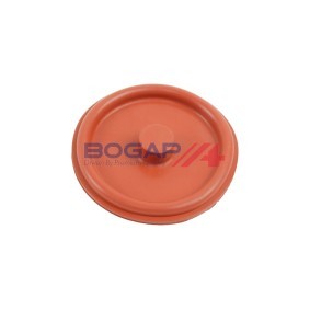 BOGAP Soupape, dégazage du carter E1116100