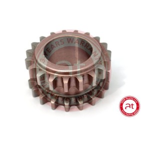 at autoteile germany Crankshaft gear at12601