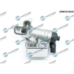 Spletna trgovina z DR.MOTOR AUTOMOTIVE Ohisje, Filter za olje DRM181003S