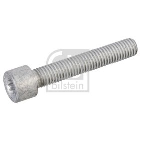 FEBI BILSTEIN Lubrifiant, lubrification des cames 03036