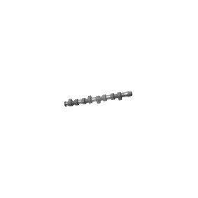 FEBI BILSTEIN Camshaft 10006