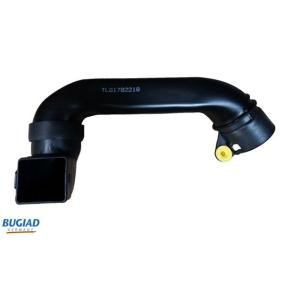 BUGIAD Sugeslange, luftfilter BIH18124