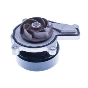 DENCKERMANN Vannpumpe A310968P