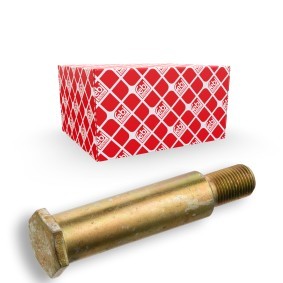 Spletna trgovina z FEBI BILSTEIN Pritrdilni vijak, stabilizator 17619