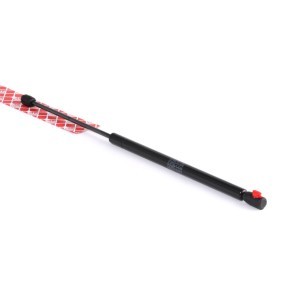 Spletna trgovina z FEBI BILSTEIN Plinska vzmet, pokrov motorja 24733