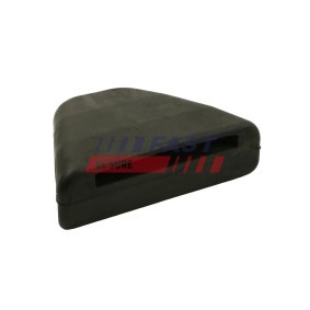 FAST Lagerung, Blattfeder FT13702