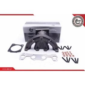 ESEN SKV Exhaust manifold 49SKV062