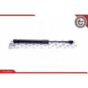 ESEN SKV Kaasujousi, tavaratila 52SKV670