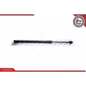 ESEN SKV Gasveer achterklep 52SKV735