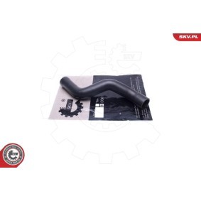 Купить ESEN SKV Трубка нагнетаемого воздуха 54SKV129