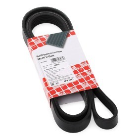 FEBI BILSTEIN Multireim 1751mm, 6, EPDM (etyl-propylen-dien-gummi) 28975