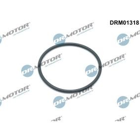 DR.MOTOR AUTOMOTIVE Joint d'étanchéité, boîtier de filtre à huile DRM01318
