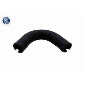 VAICO Slange, veivhuslufting fra sylinderblokk til oljeutskiller V24-1292