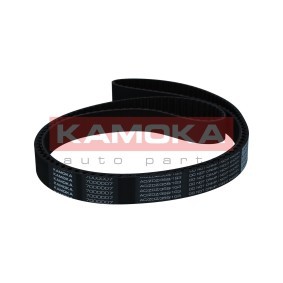 KAMOKA Distributieriem 7000007