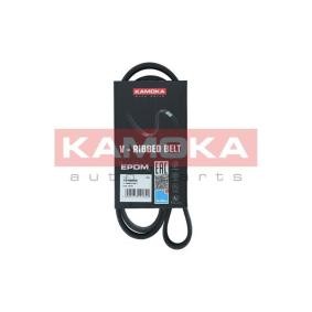 Купить KAMOKA Поликлиновой ремень 7016092