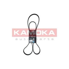 KAMOKA Serpentine belt 7016167