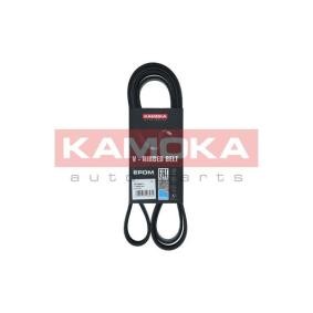 KAMOKA Keilrippenriemen 2196mm, 6, EPDM (Ethylen-Propylen-Dien-Kautschuk) 7016211