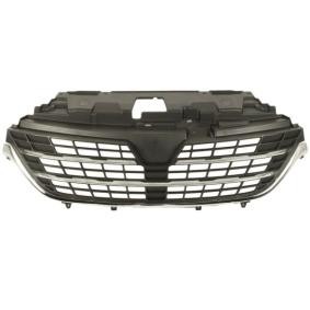 BLIC Radiator Grille 6502-07-3535993P