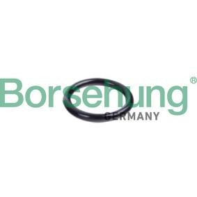 Borsehung Dichtring, koelvloeistofleiding B10632