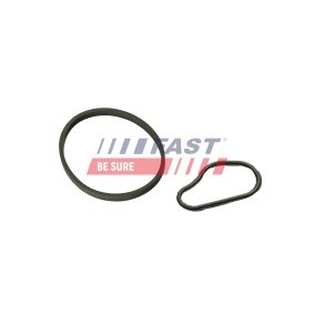 FAST Joint, pompe à vide FT48943