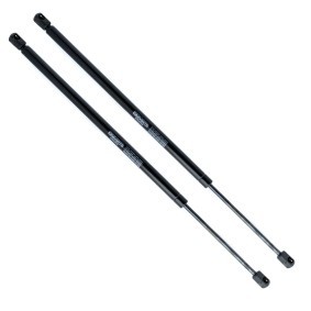 EINPARTS Amortiguador de maletero EP10047GS