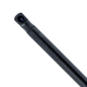 EINPARTS Heckklappendämpfer EP10389GS