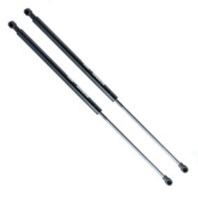 EINPARTS Amortiguador de maletero EP9178GS
